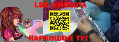 стаф Сланцы