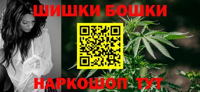 стаф Сланцы
