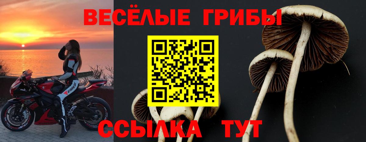 Галлюциногенные грибы Psilocybine cubensis  Вход с VPN  наркотики  Павловский Посад 